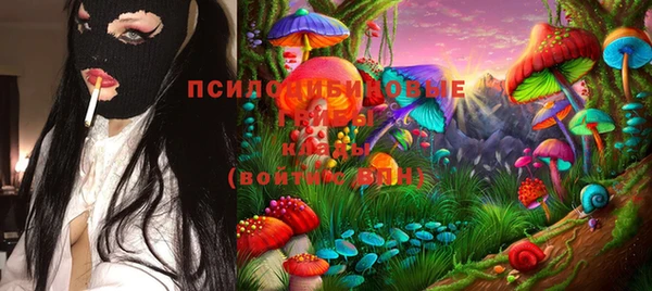 apvp Волосово