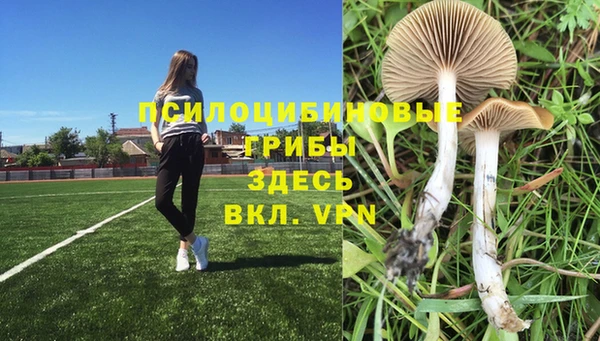 хмурый Верхний Тагил